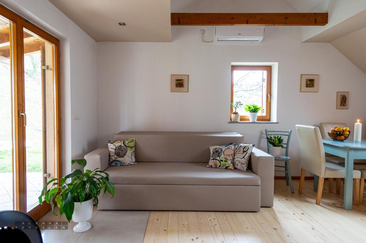 Vineyard Cottage Klemencic نوفو ميستو المظهر الخارجي الصورة