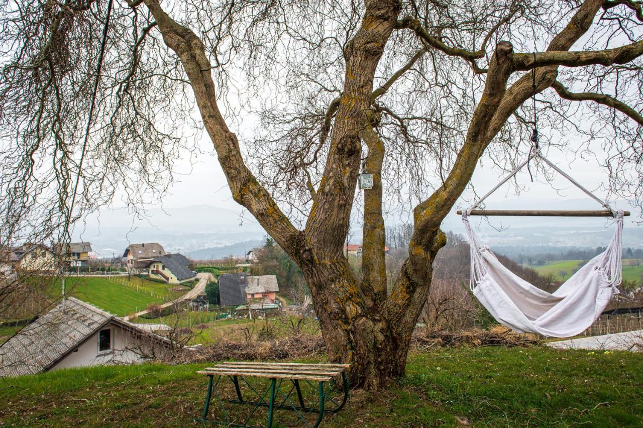 Vineyard Cottage Klemencic نوفو ميستو المظهر الخارجي الصورة