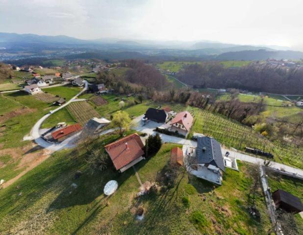 Vineyard Cottage Klemencic نوفو ميستو المظهر الخارجي الصورة