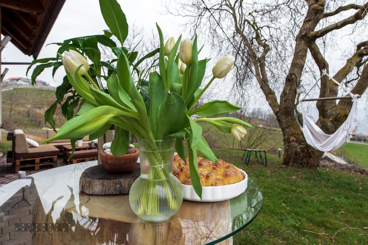 Vineyard Cottage Klemencic نوفو ميستو المظهر الخارجي الصورة