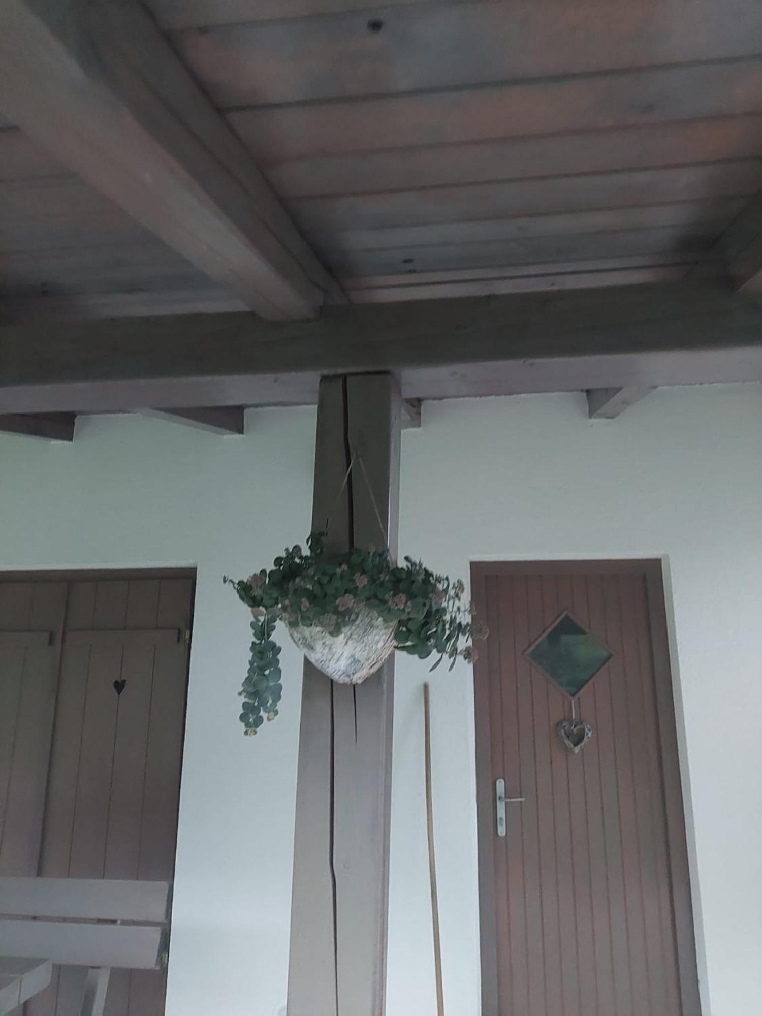 Vineyard Cottage Klemencic نوفو ميستو المظهر الخارجي الصورة
