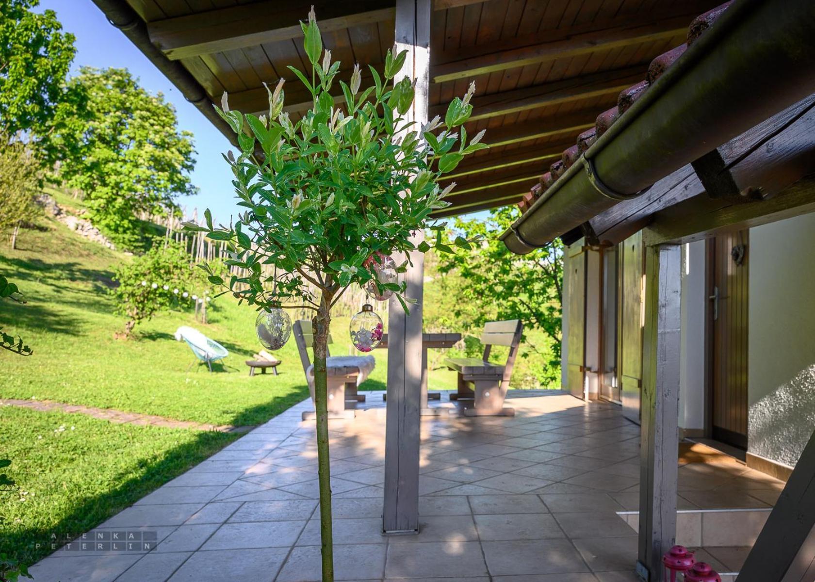 Vineyard Cottage Klemencic نوفو ميستو المظهر الخارجي الصورة